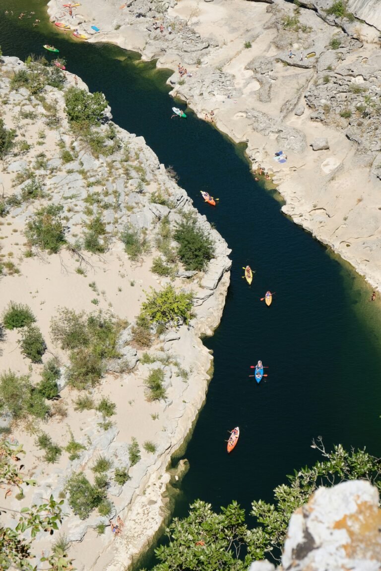 Groupe de personne faisant du canoé sur un cours d'eau d'Ardèche, entourée de la faune méridionale d'Ardèche