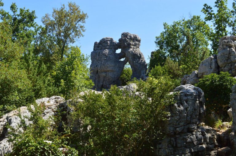 Bois de Païolive, site naturel protégé qui s'étend sur 16 km² dans le sud du département de l'Ardèche. Ce bois possède une forte valeur patrimoniale du fait de sa grande richesse en matière de biodiversité, de roches à formes fantastiques, de naturalité ainsi que par les paysages de pierre traversés par les gorges du Chassezac