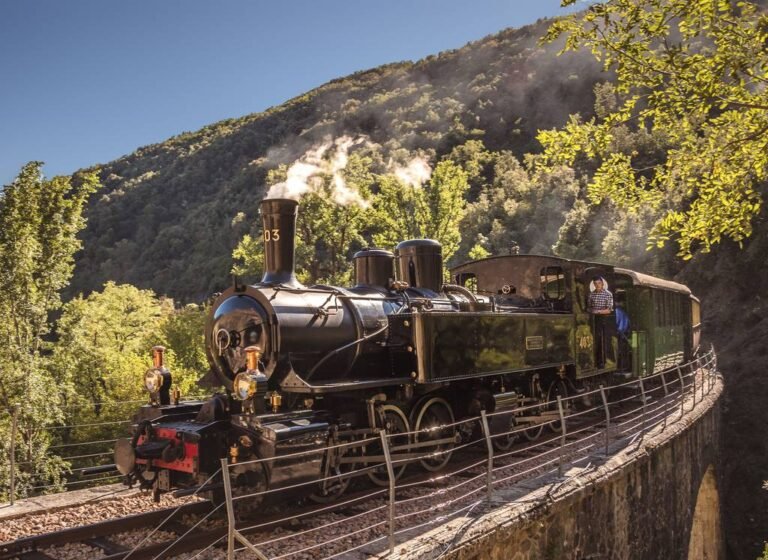 Célèbre Train à vapeur de l'Ardèche sur les rails d'un pont